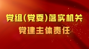 黨組（黨委）落實(shí)機(jī)關(guān)黨建主體責(zé)任