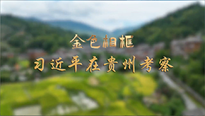 習(xí)近平在貴州考察