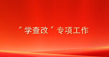 “學(xué)查改”專項工作