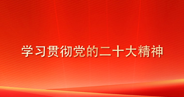 學(xué)習(xí)貫徹黨的二十大精神